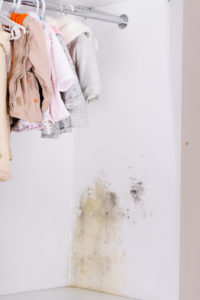 Schimmel im Kleiderschrank vom Baby