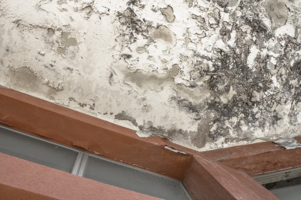 Versteckte Mängel nach Hauskauf entdeckt Was tun? innotech GmbH